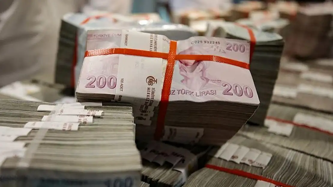 2 Milyondan Fazla Hesapta Unutulan Paralar TMSF'ye Geçti