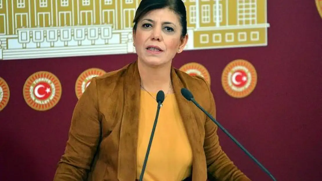 27. Dönem Siirt Milletvekili Meral Danış Beştaş'ın Durumu