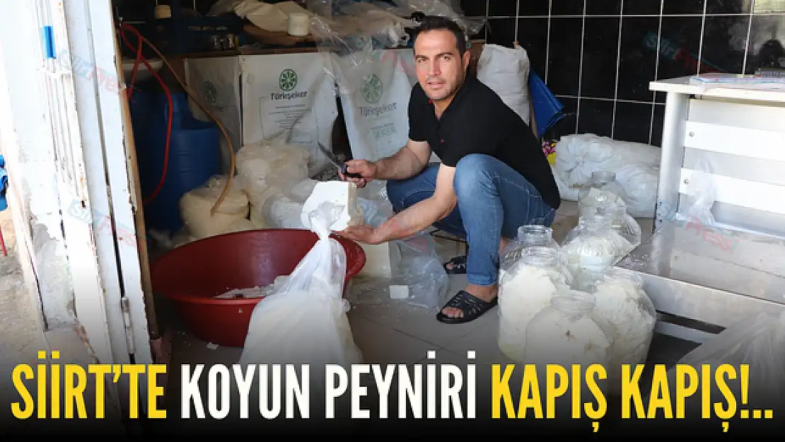 Siirt'te Koyun Peynirine Yoğun Talep