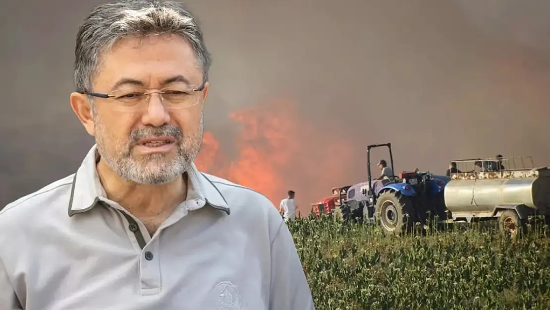 8 İlde Orman Yangınlarına Müdahale: 6'sı Kontrol Altında, 2'sinde Çalışmalar Sürüyor