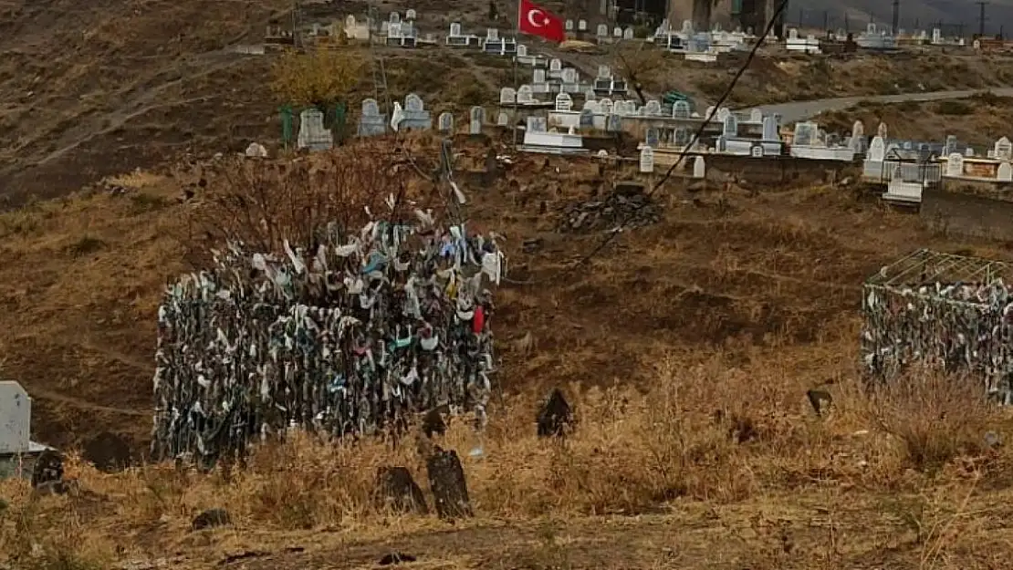 AĞACA BEZ PARÇASI BAĞLAYIP DİLEK TUTUYORLAR