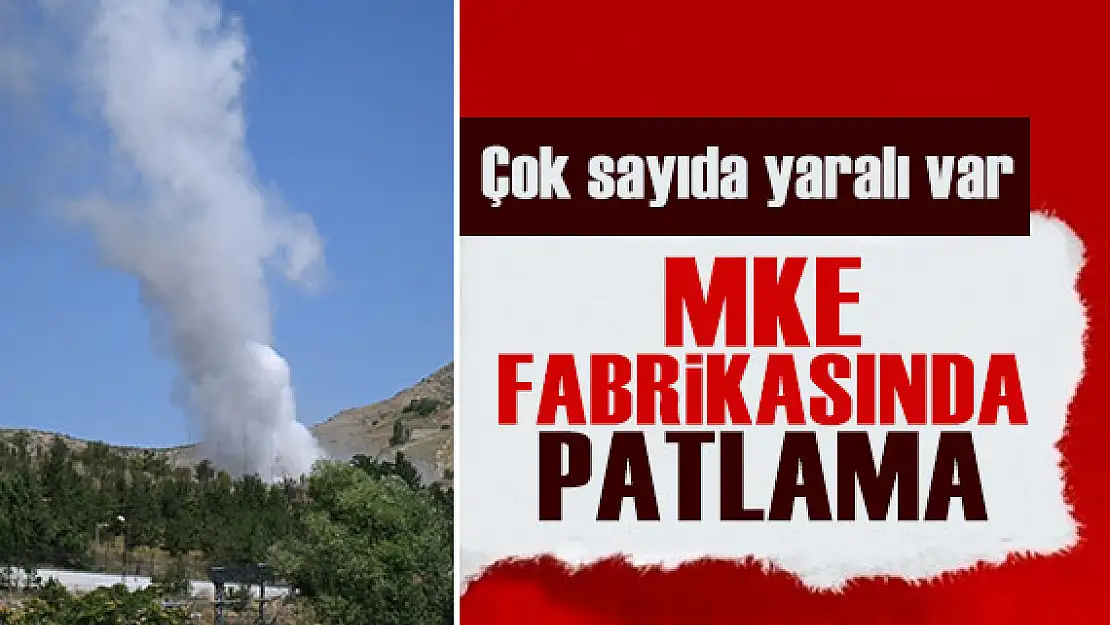Ankara Kayaş'ta Makine Kimya Enstitüsü'ne Ait Fabrikada Patlama