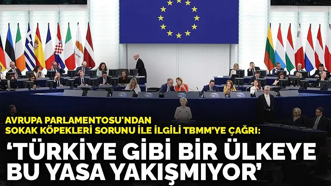 Avrupa Parlamentosu'ndan Türkiye Büyük Millet Meclisi'ne Sahipsiz Sokak Hayvanları İçin Çağrı