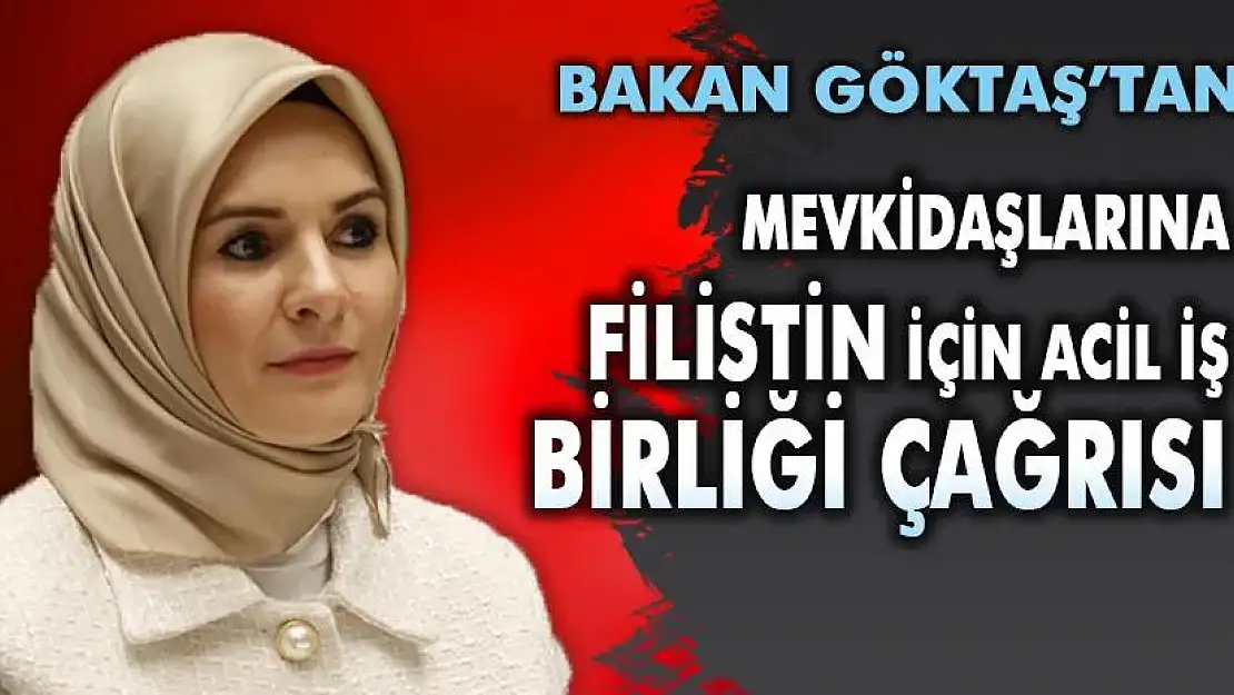 Bakan Göktaş'tan Mevkidaşlarına Filistin İçin Acil İş Birliği Çağrısı
