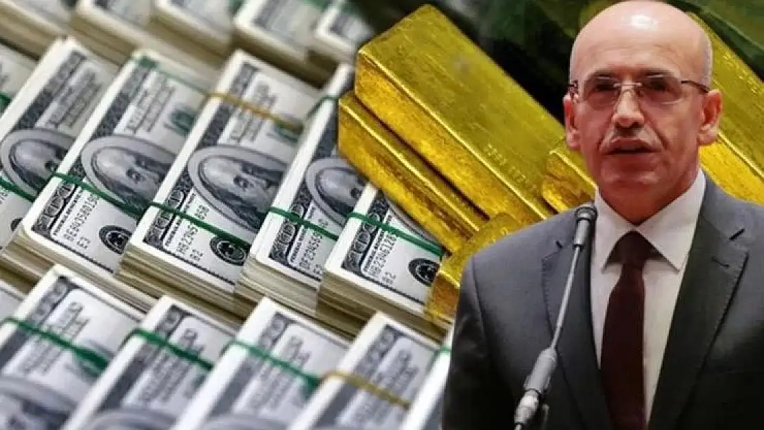 Bakan Şimşek Tane Tane Anlattı!