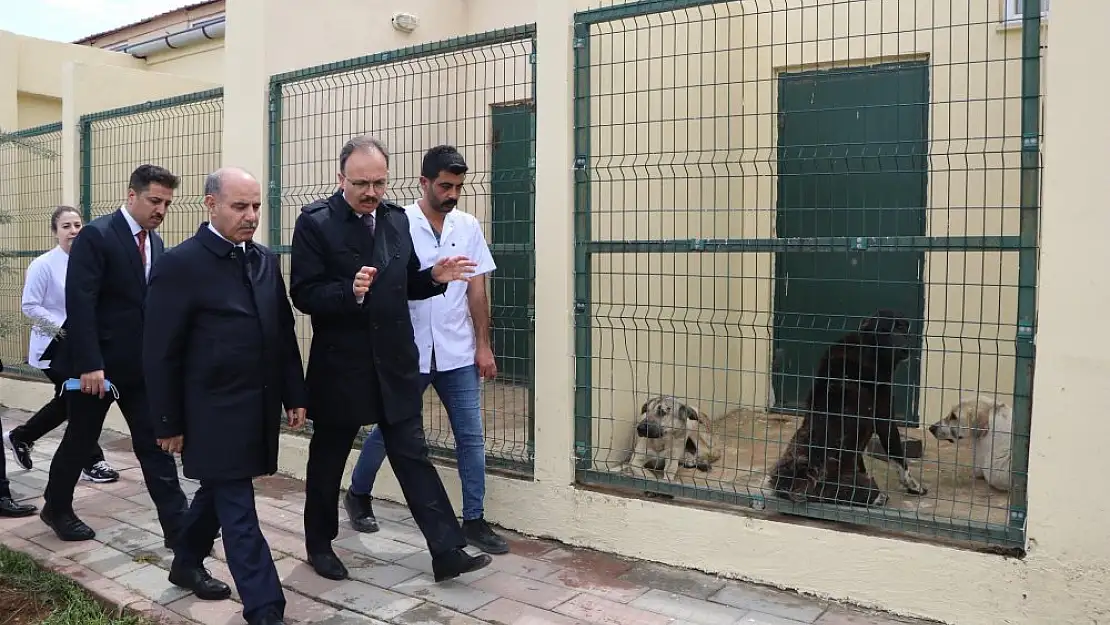 Bakan Yardımcısı Aktaş ve Vali Kızılkaya'dan Sokak Hayvanları Merkezine Ziyaret