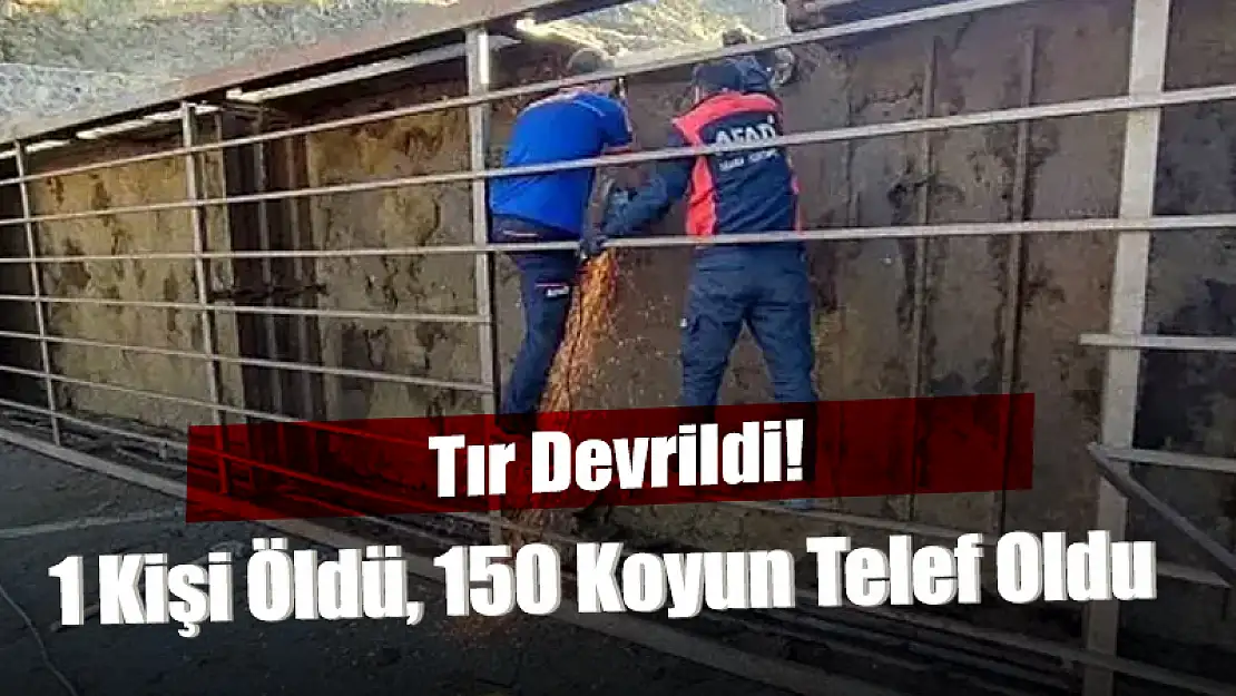 Baykan-Bitlis Yolunda  Devrilen Tır'ın Şoförü Yaşamını Yitirdi  Tır'daki Kurbanlıkların 150'si Telef Oldu