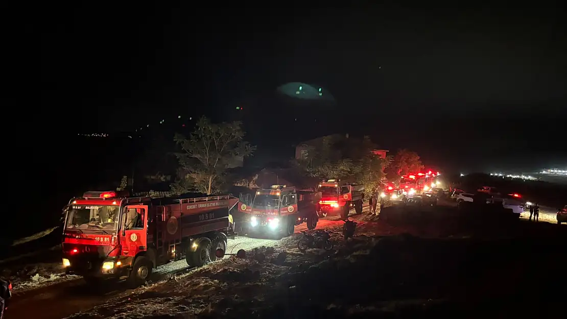 Bilecik ve İzmir Afet Bölgesi İlan Edildi: Yangınların Ardından 85 Konteyner Kuruldu