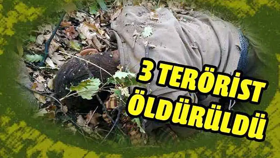 (BTÖ) MENSUBU 3 TERÖRİST ETKİSİZ HALE GETİRİLDİ