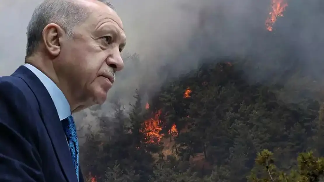 Bursa'da Yangın 4 Noktada Yeniden Alevlendi