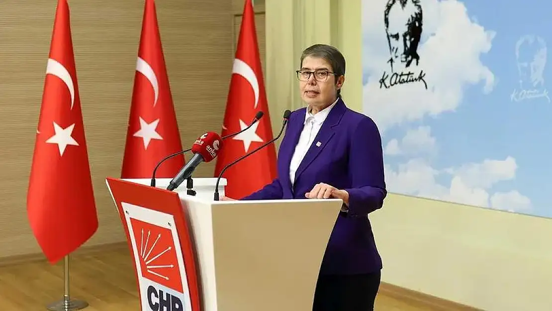 CHP'li Şahbaz: 'Salgın Var, Aşılama İçin Daha Neyi Bekliyorsunuz Diye Sordu'