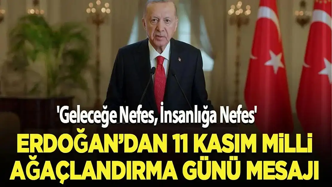 Cumhurbaşkanı Erdoğan'ın '11 Kasım Milli Ağaçlandırma Günü' Mesajı