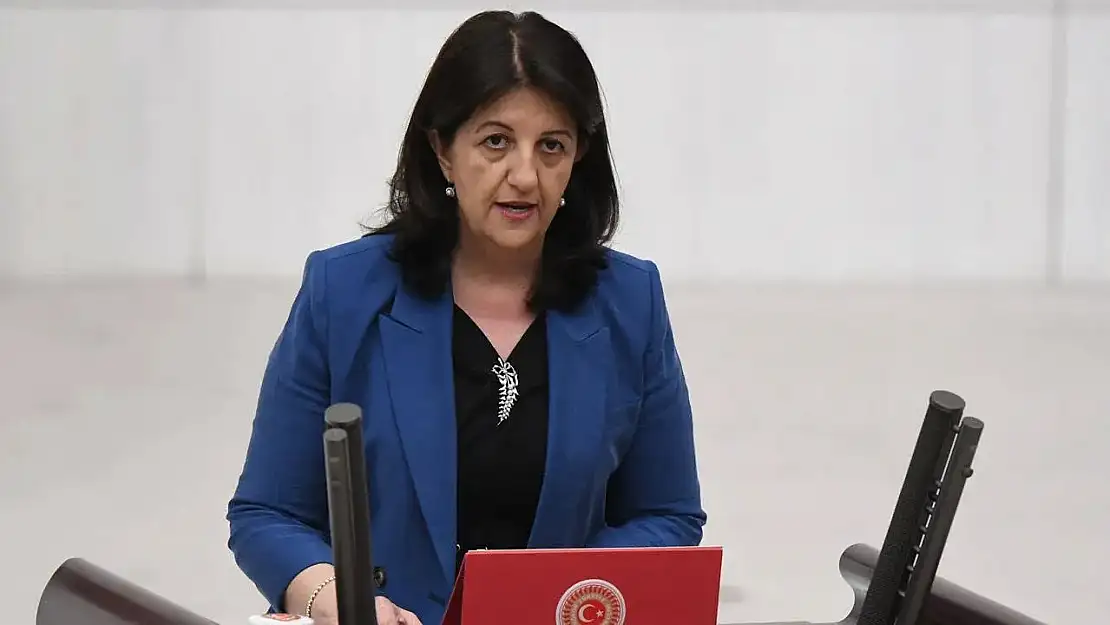 DEM Parti'de Başkanvekilliğine Yeni İsim