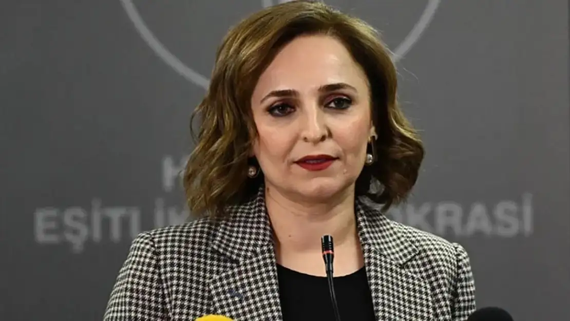 DEM Parti İstanbul'u Açıkladı