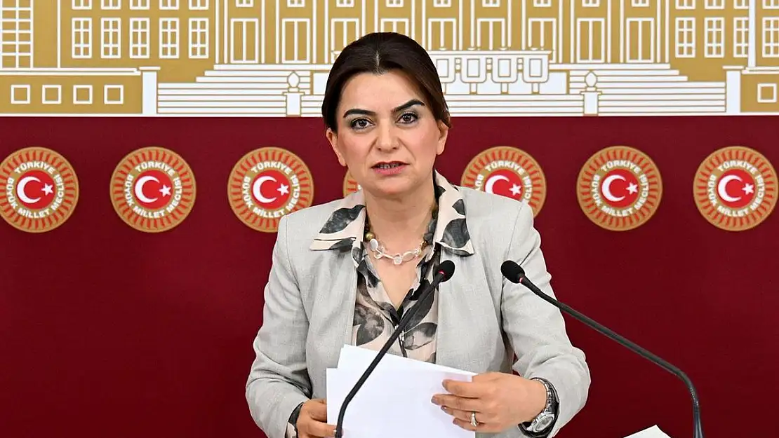 DEM Parti'den Demirtaş Açıklaması