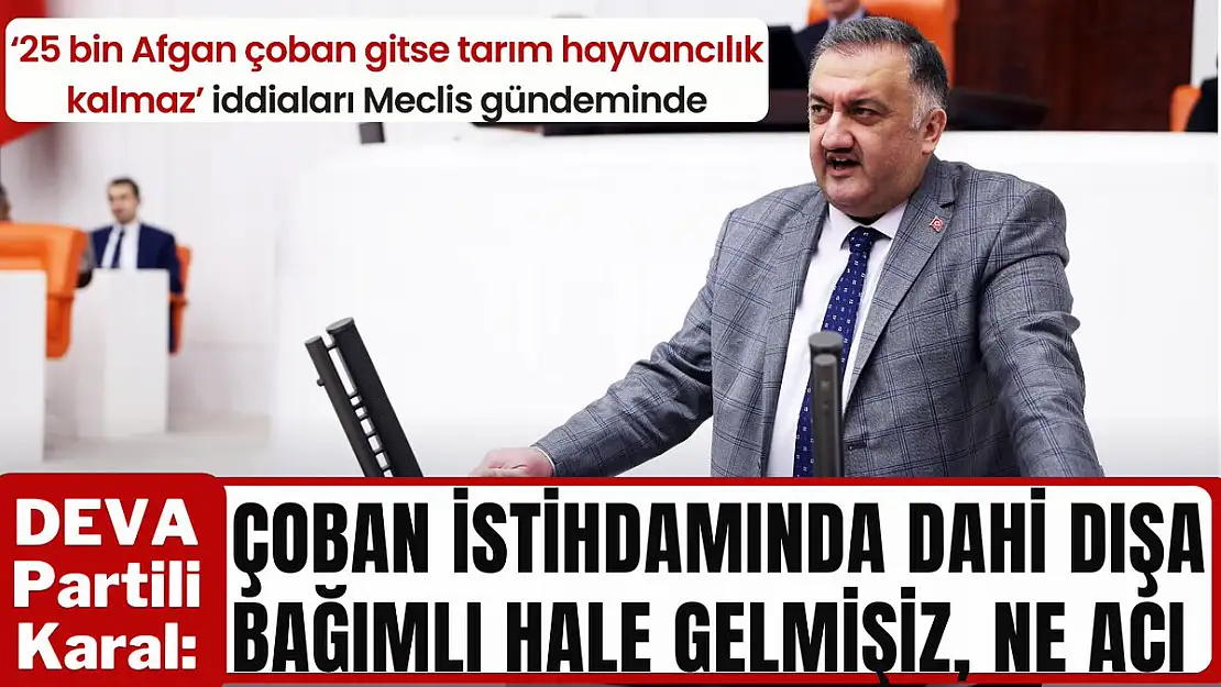DEVA Partili Karal: 'Çoban İstihdamında da Dışa Bağımlı Hale Gelmişiz'
