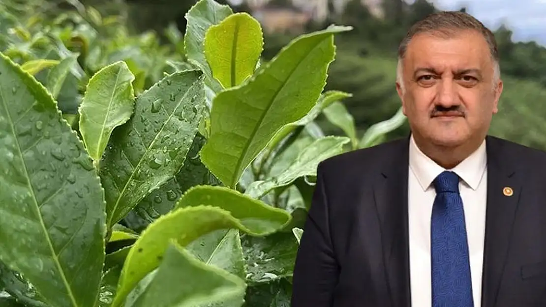 DEVA Partili Karal'dan Hükümete Çağrı: 'Bayramdan Önce Birinci Sürgün ve Çay Budama Bedellerini Ödeyin de Üreticiler Kurban Kesebilsin'