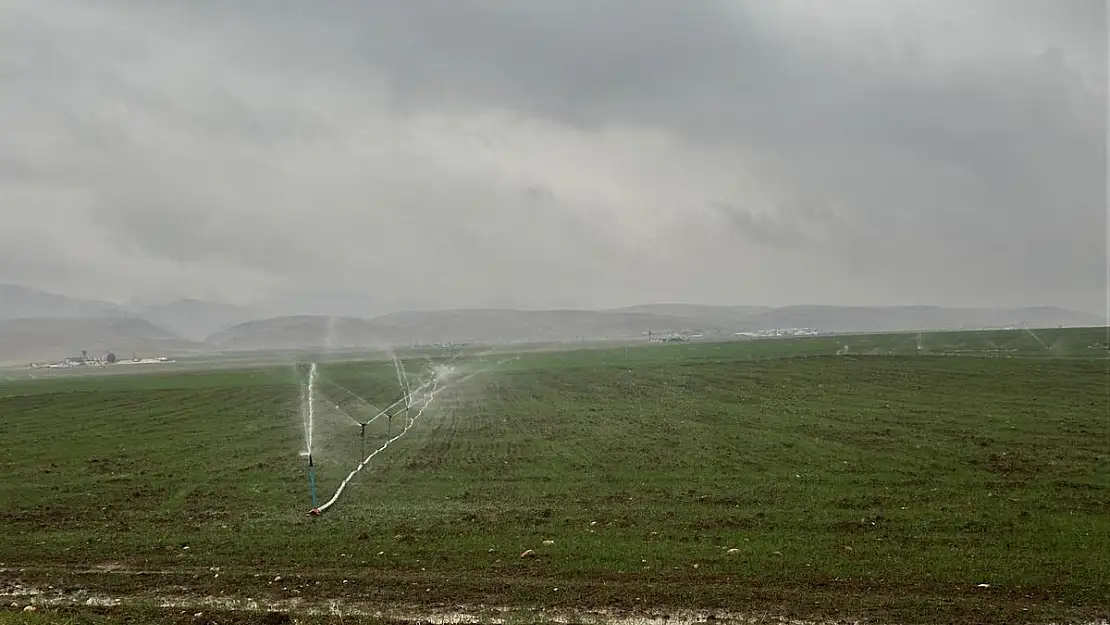 Dicle Elektrik'ten Şaşkınlık Uyandıran Tespit