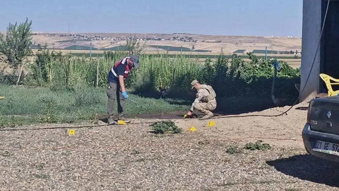 Diyarbakır'da Arazi Kavgası: 2 Ölü, 13 Gözaltı