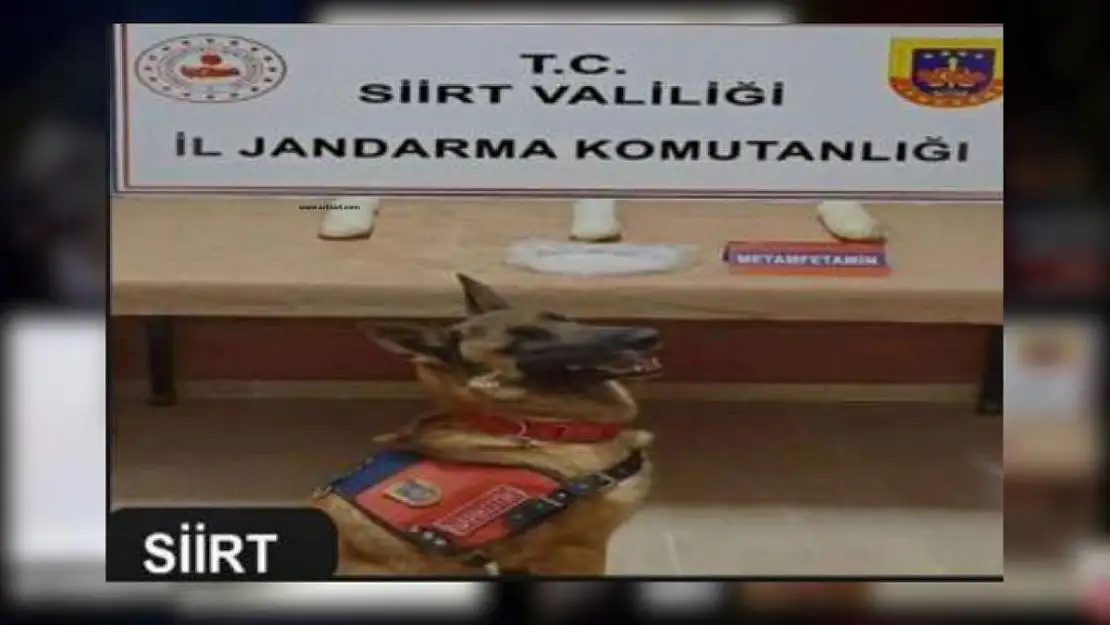 DİYARBAKIR, MARDİN VE SİİRT'TE UYUŞTURUCU ELE GEÇİRİLDİ