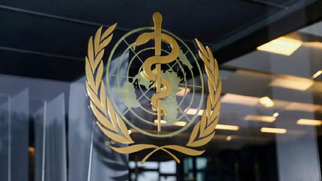 DSÖ'den Küresel Uyarı: Chikungunya Virüsü 5.6 Milyar Kişiyi Tehdit Ediyor