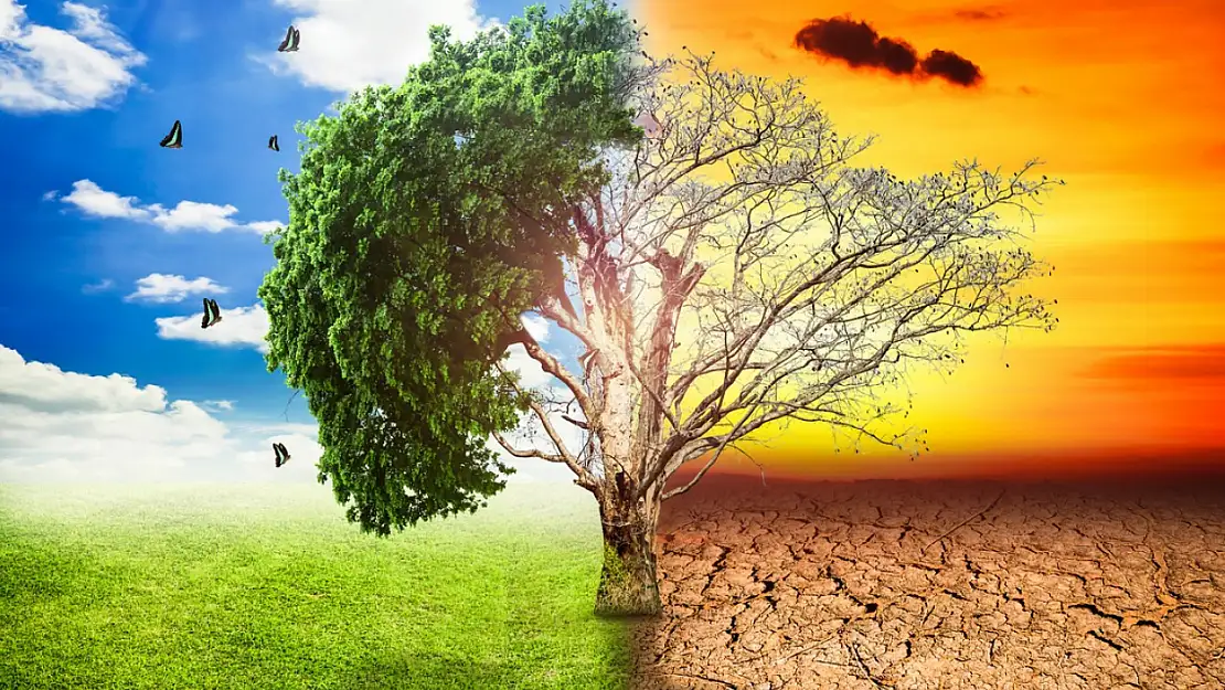 Dünya'da Yeni Mevsimler: 'Sis' ve 'Çöp' Dönemleri Başladı