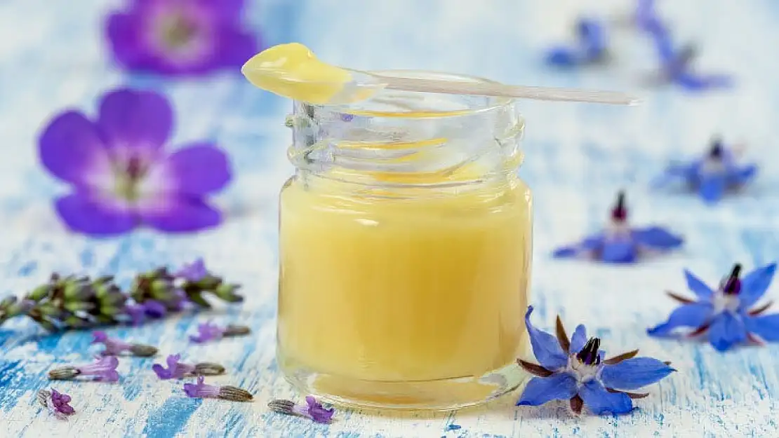 Dünyanın En Pahalı Gıdası: Kilosu 45 Bin TL Olan Arı Sütü