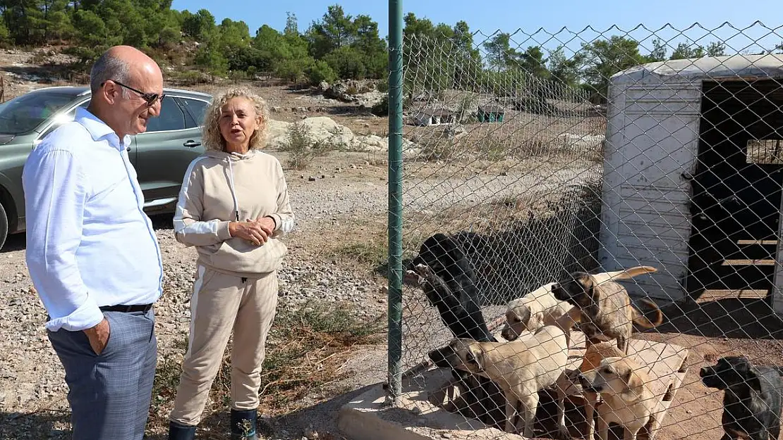 Egeli İhracatçılardan Barınak Hayvanlarına Mama Yardımı