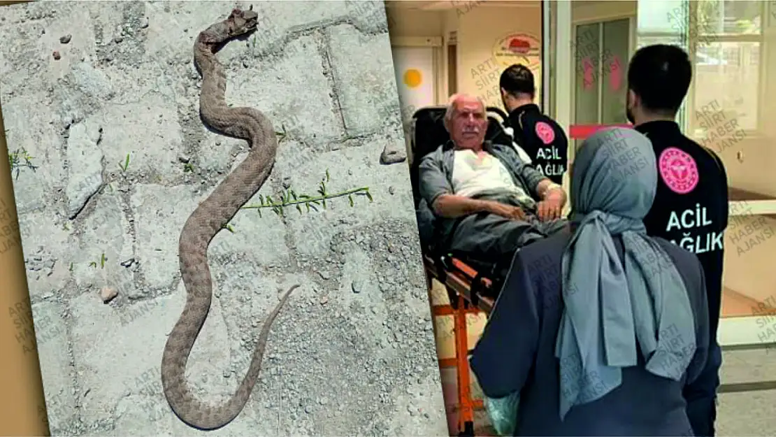 Eruh İlçemizde Yılan Sokması Sonucu Yaralanan 65 Yaşındaki Adam Hastaneye Kaldırıldı