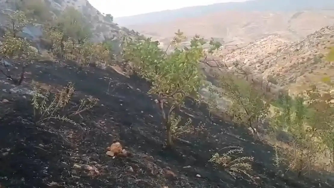 Eruh Kırsalında Orman Yangını