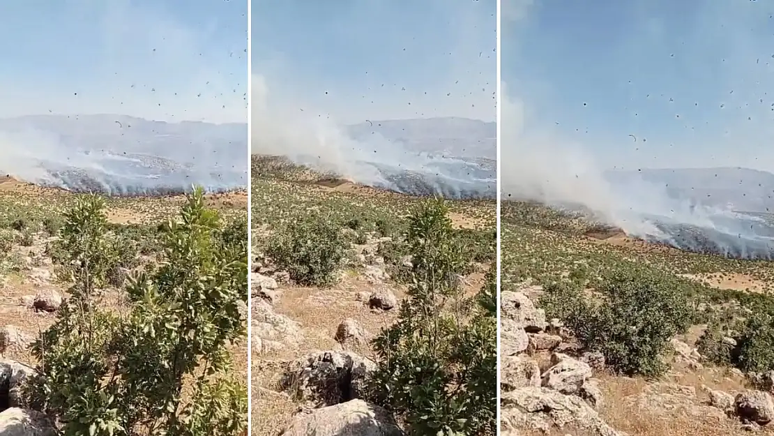 Eruh'ta Örtü Yangını: Müdahale Bekleniyor