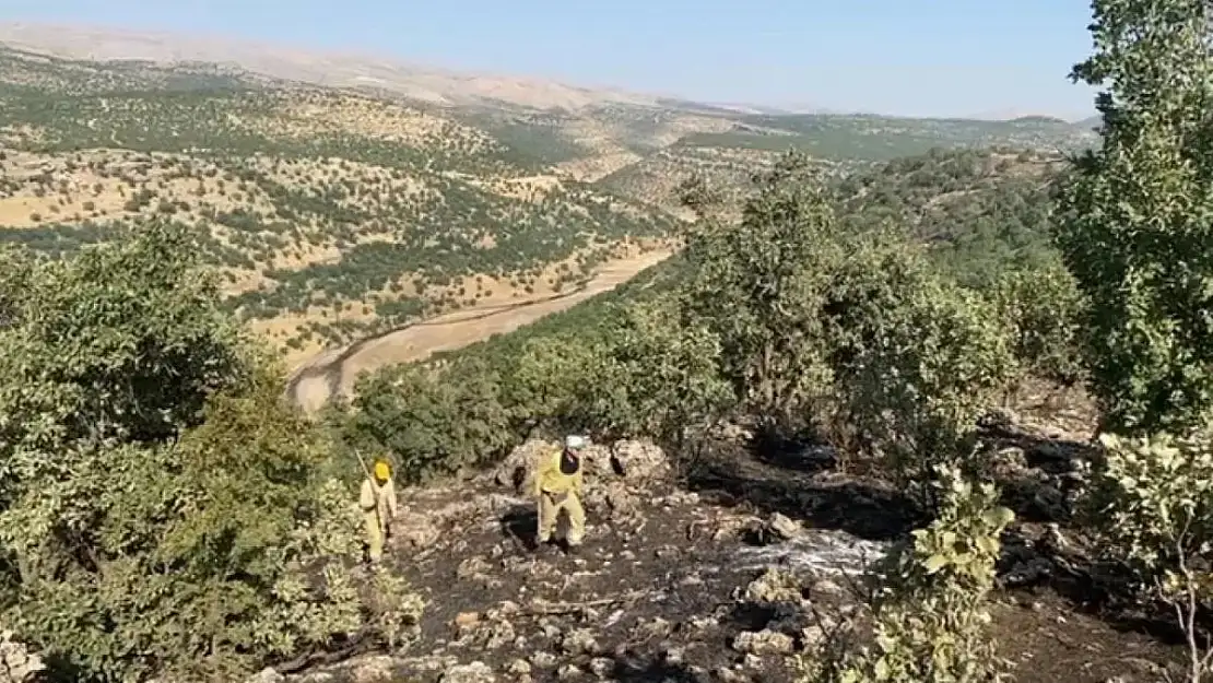 Eruh ve Pervari Arasında Dağlık Alanda Çıkan Yangın Söndürüldü