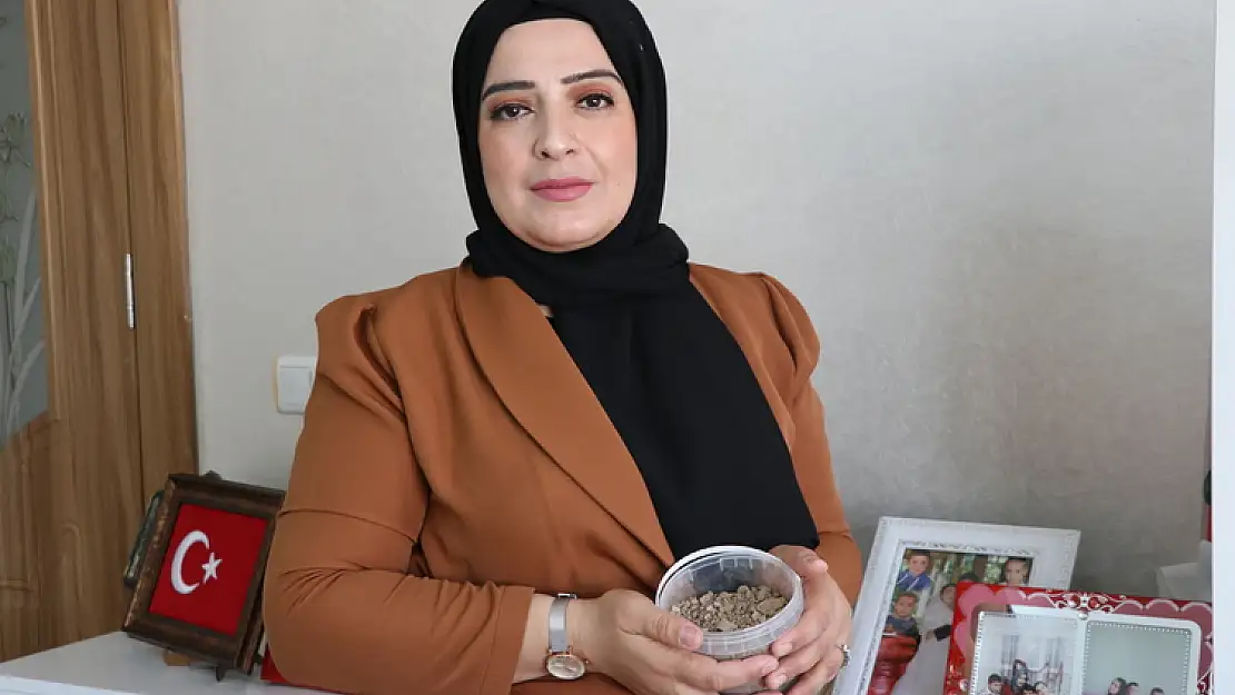'Eşim Gibi Ben De Bir Kürt Olarak Vatanım İçin Şehit Olmaya Hazırım'