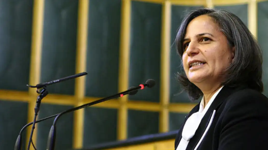 Eski Siirt Milletvekili ve DEM Parti'nin Ankara Adayı Gültan Kışanak'tan Mektup