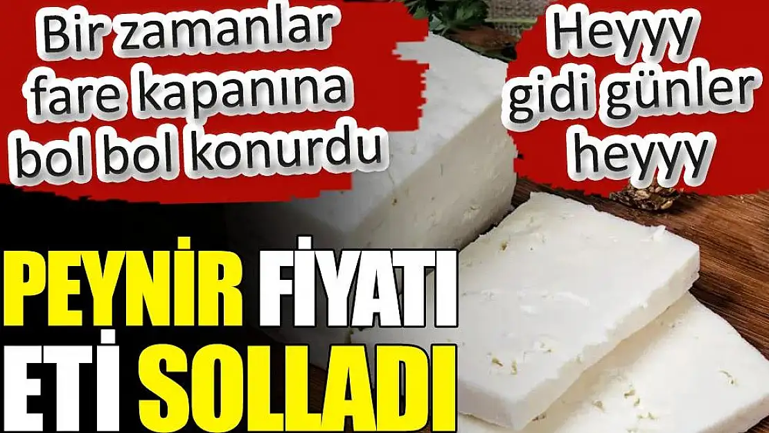 ET UCUZLARKEN PEYNİR FİYATI UÇTU