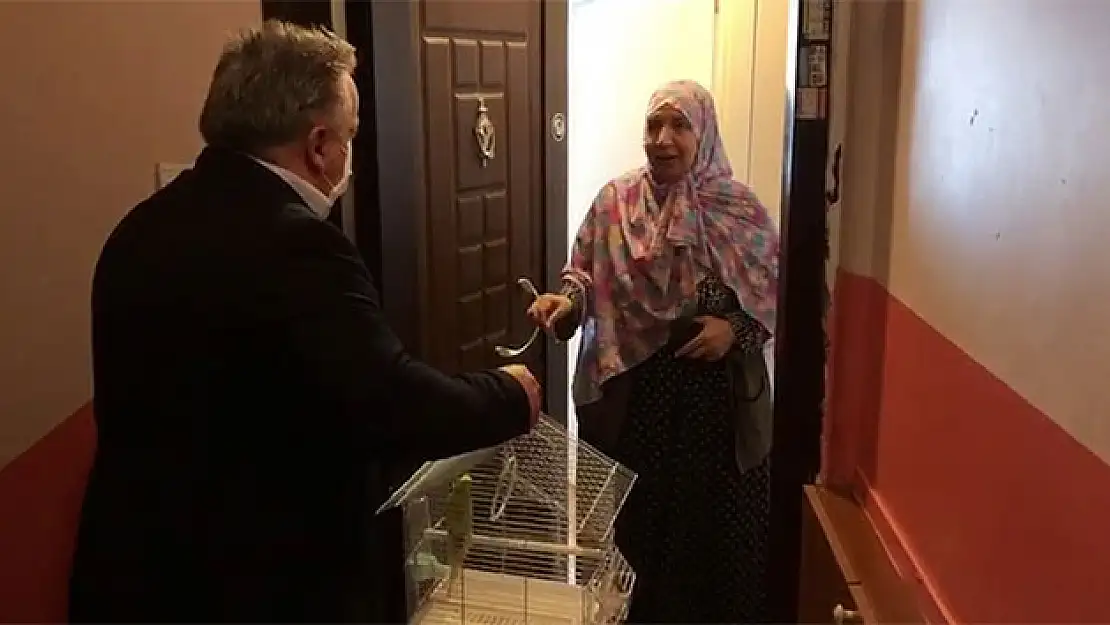 Evinden çıkamayan 65 yaşındaki Fatma teyzeye muhabbet kuşu sürprizi