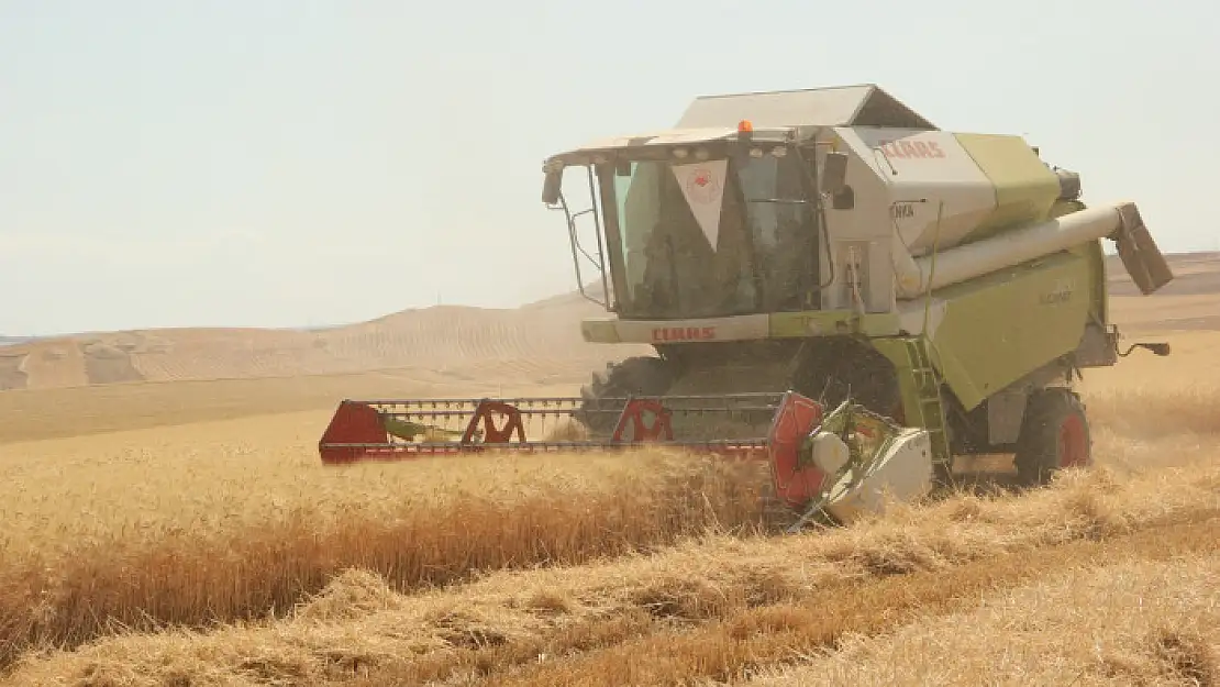 Garzan Ovasında Arpa Hasadına Başlandı