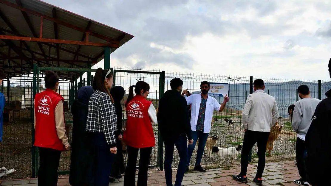 Gençlik Merkezi Çalışanları ve Gönüllüleri Hayvan Bakımevini Ziyaret Etti