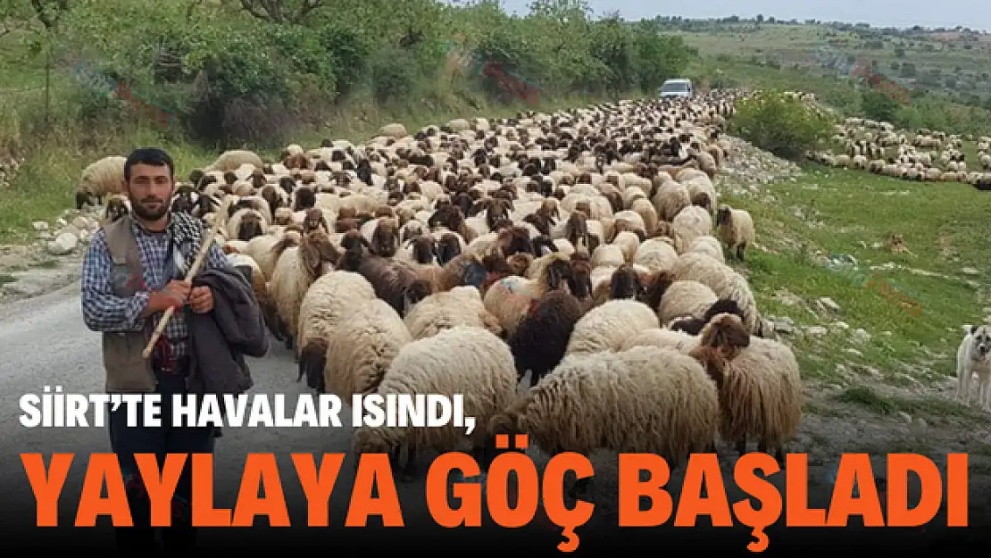 Havalar Isınmaya Başlayınca Göçerler Yaylalara Çıkmağa Başladı