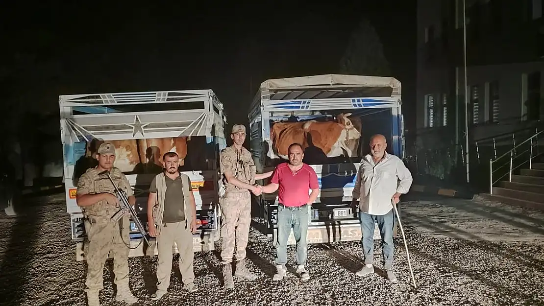 Hayvan Hırsızları Yakalandı