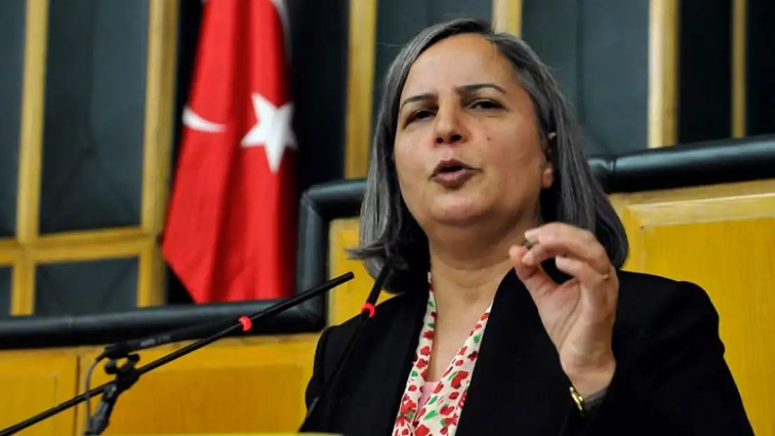 HDP'NİN CUMURBAŞKANI ADAYI SİİRT ESKİ MİLLETVEKİLİ Mİ OLACAK?
