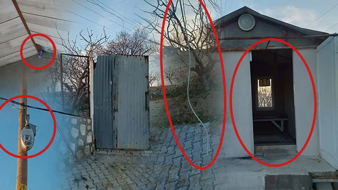 HIRSIZLAR FISTIK BAĞLARINA DADANDI
