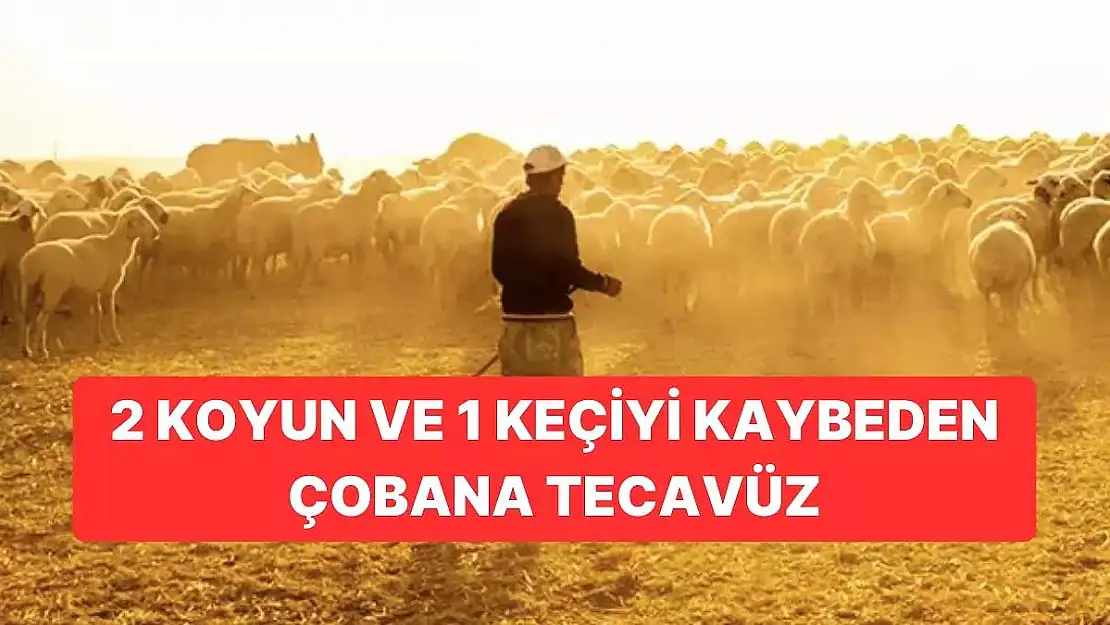 İki Koyun Bir Keçiyi Kaybettiği Gerekçesiyle Çobana Tecavüz Edildi!