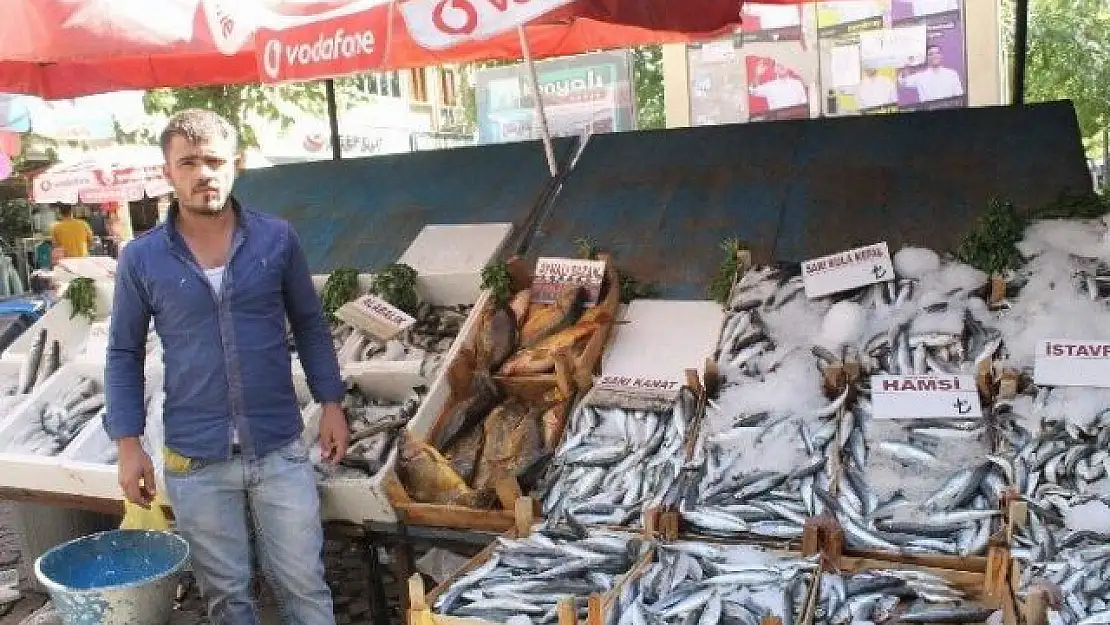İLİMİZDE 'DENİZ BALIĞI' BEREKETİ