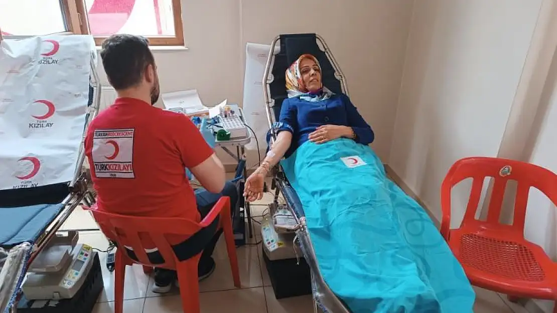 Kan Bağışı
