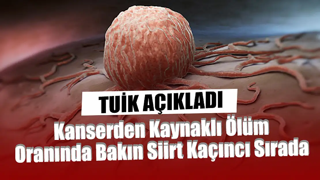 Kanserden Kaynaklı Ölüm Oranında Siirt!