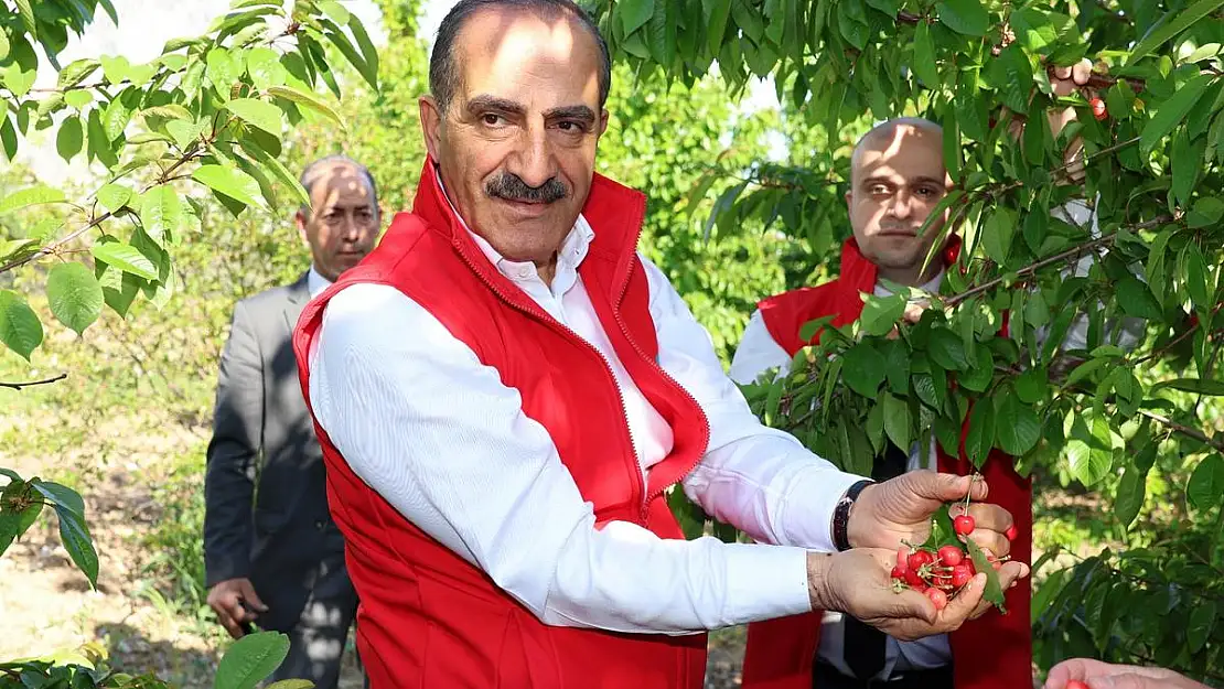 Kiraz İhracatında Hedef 250 Milyon Dolar