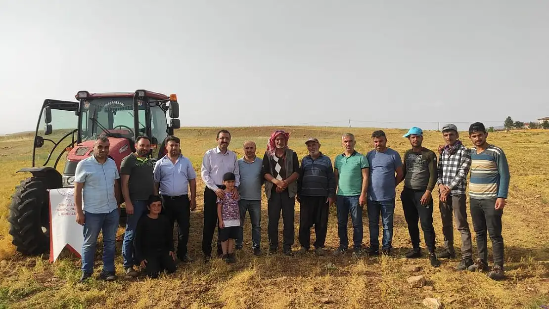 KIRMIZI MERCİMEKTE ÜLKEMİZİN ÖNEMLİ MERKEZİ SİİRT'TE HASAT BAŞLADI