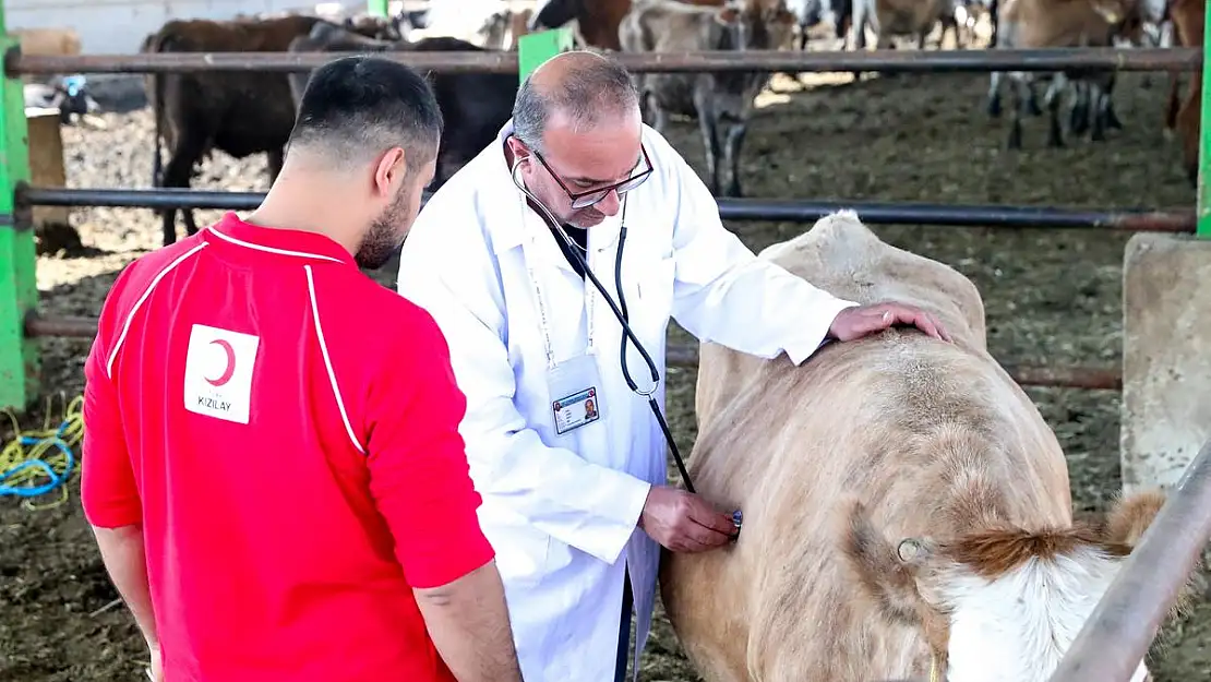 Kızılay'ın 2025 Kurban Vekalet Bedelleri Belli Oldu