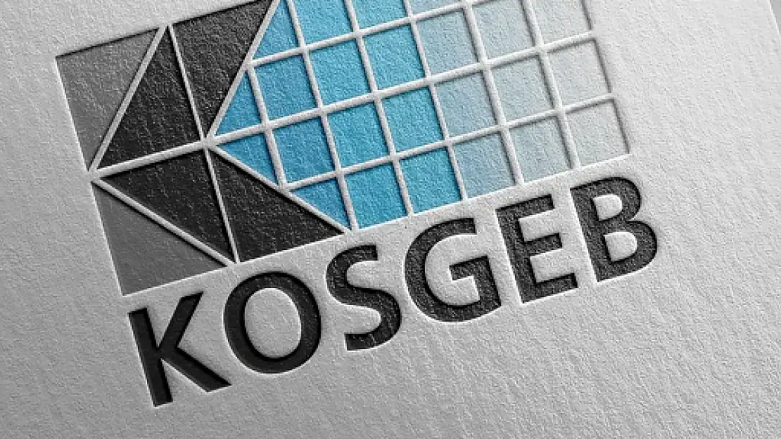 KOSGEB Siirt Müdürlüğü'nden 2025 Yılının İlk 3 Ayında 65 Milyon TL'lik Destek